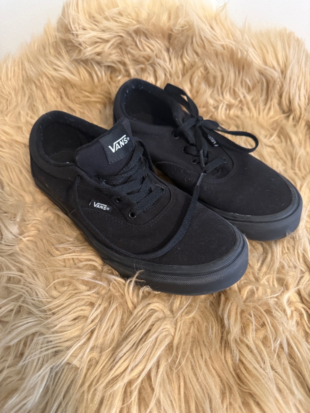 Vans Black Low-Top Canvas Sneakers